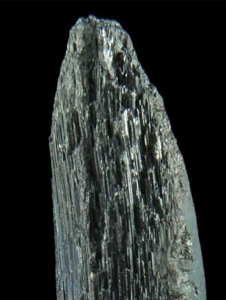 Stibnite (distorted crystal) from Xikuangshan, 12 km northeast of Lengshuijiang, Hunan Province, China