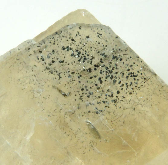 Calcite with Marcasite inclusions from Eastern Rock Products Quarry (Benchmark Quarry), St. Johnsville, Montgomery County, New York