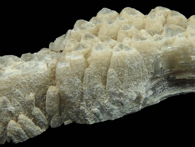 Lepidolite-Muscovite with Elbaite Tourmaline from Nuristan, Afghanistan