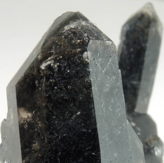 Quartz with Schorl Tourmaline inclusions from Monte Enfumaado, Minas Gerais, Brazil