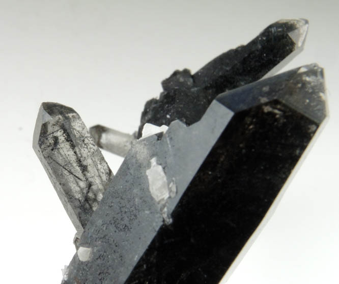 Quartz with Schorl Tourmaline inclusions from Monte Enfumaado, Minas Gerais, Brazil