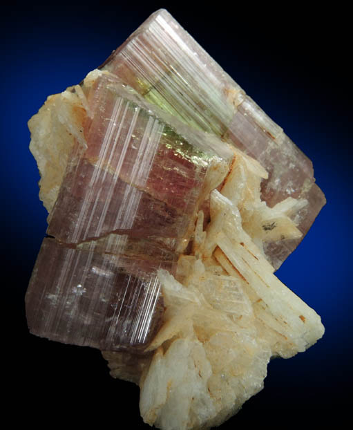 Elbaite var. Rubellite Tourmaline in Albite var. Cleavelandite from Himalaya Mine, Mesa Grande District, San Diego County, California