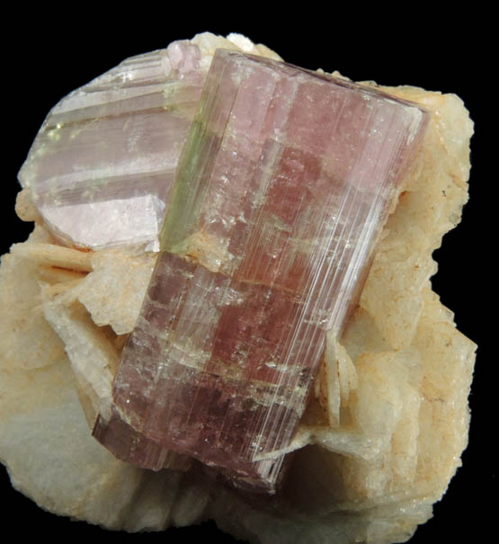 Elbaite var. Rubellite Tourmaline in Albite var. Cleavelandite from Himalaya Mine, Mesa Grande District, San Diego County, California
