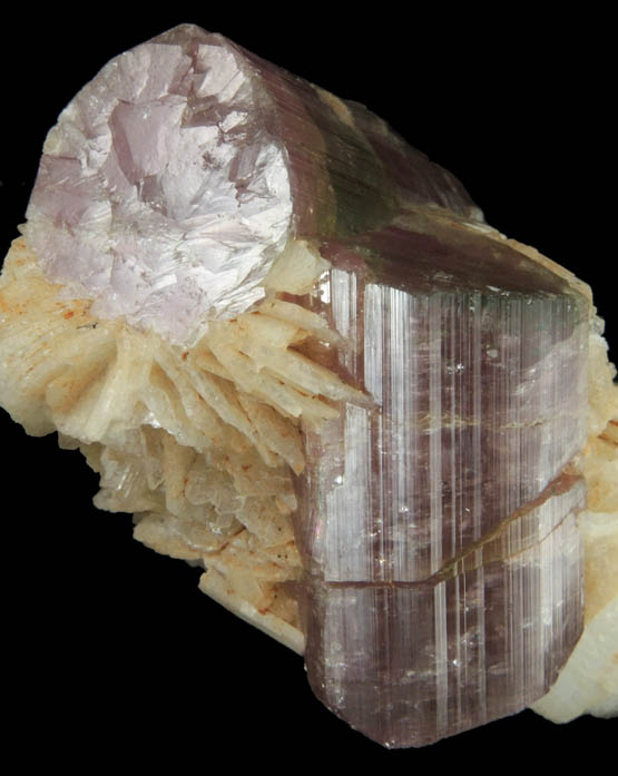 Elbaite var. Rubellite Tourmaline in Albite var. Cleavelandite from Himalaya Mine, Mesa Grande District, San Diego County, California