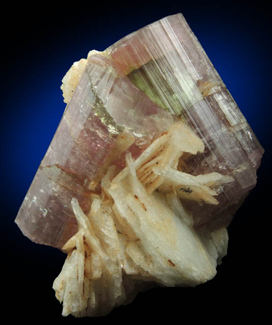 Elbaite var. Rubellite Tourmaline in Albite var. Cleavelandite from Himalaya Mine, Mesa Grande District, San Diego County, California