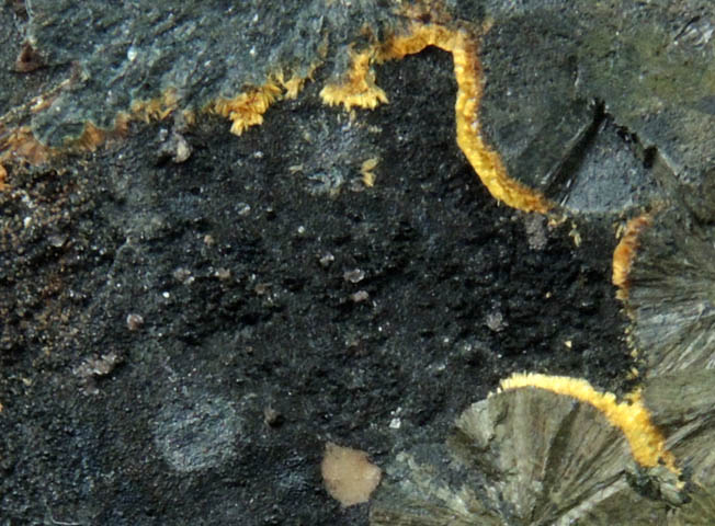 Beraunite, Kidwellite, Cacoxenite, Goethite from Coon Creek Mine, Polk County, Arkansas