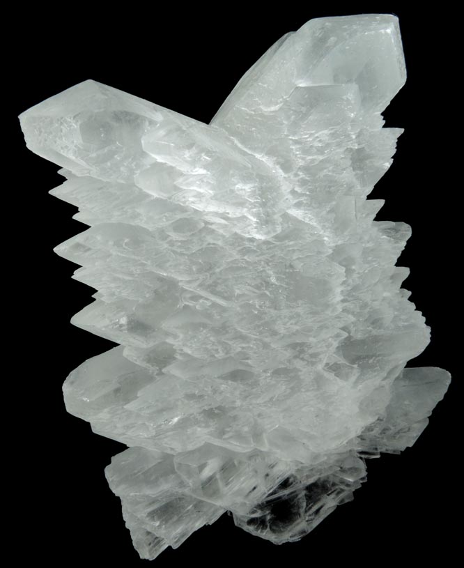 Gypsum var. Selenite Fish-tail Twins from Chihuahua, Mexico