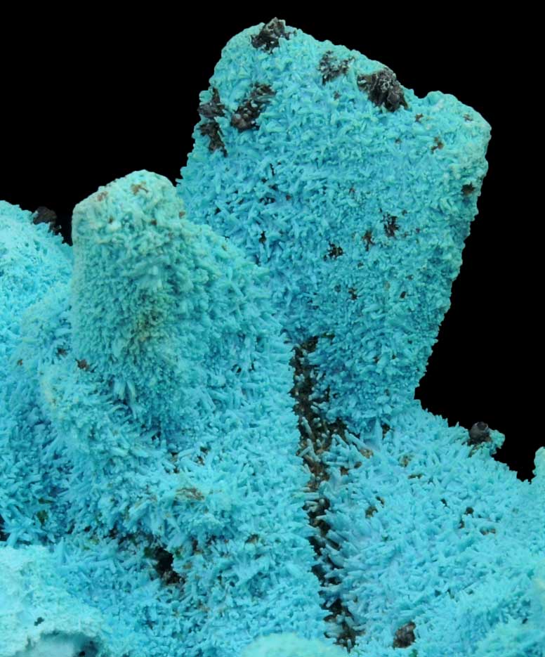 Chrysocolla over Malachite pseudomorphs after Azurite from Luputo Mine, Lubumbashi, Katanga Copperbelt, Haut-Katanga Province, Democratic Republic of the Congo