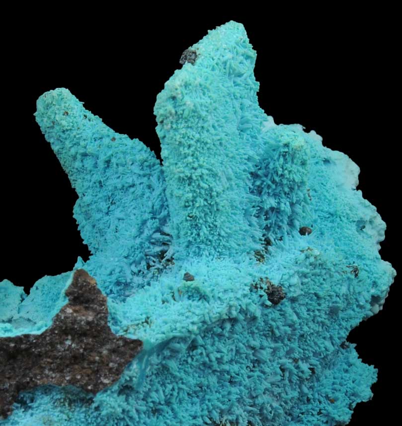 Chrysocolla over Malachite pseudomorphs after Azurite from Luputo Mine, Lubumbashi, Katanga Copperbelt, Haut-Katanga Province, Democratic Republic of the Congo