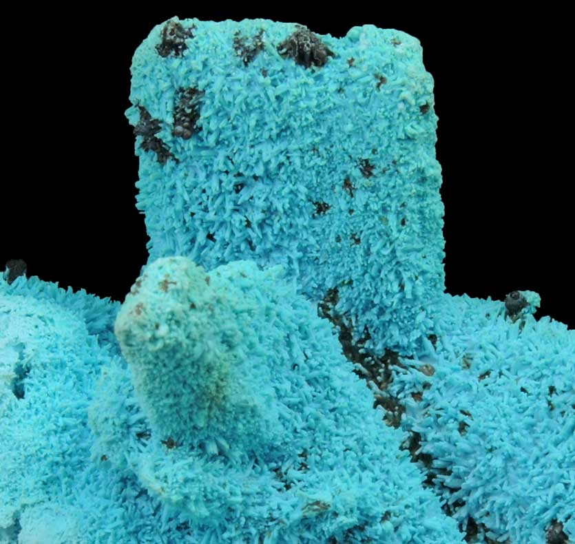 Chrysocolla over Malachite pseudomorphs after Azurite from Luputo Mine, Lubumbashi, Katanga Copperbelt, Haut-Katanga Province, Democratic Republic of the Congo