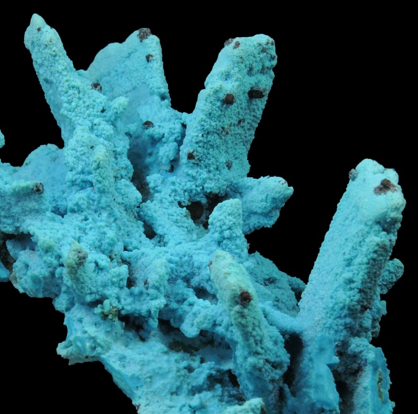 Chrysocolla over Malachite pseudomorphs after Azurite from Luputo Mine, Lubumbashi, Katanga Copperbelt, Haut-Katanga Province, Democratic Republic of the Congo