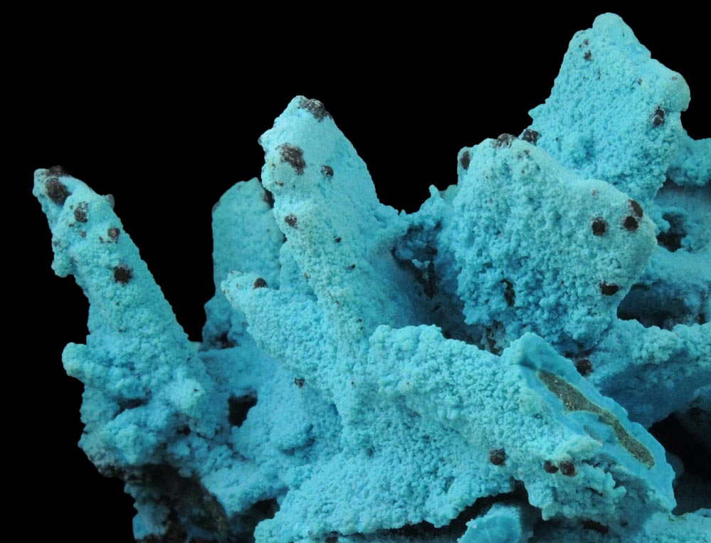 Chrysocolla over Malachite pseudomorphs after Azurite from Luputo Mine, Lubumbashi, Katanga Copperbelt, Haut-Katanga Province, Democratic Republic of the Congo