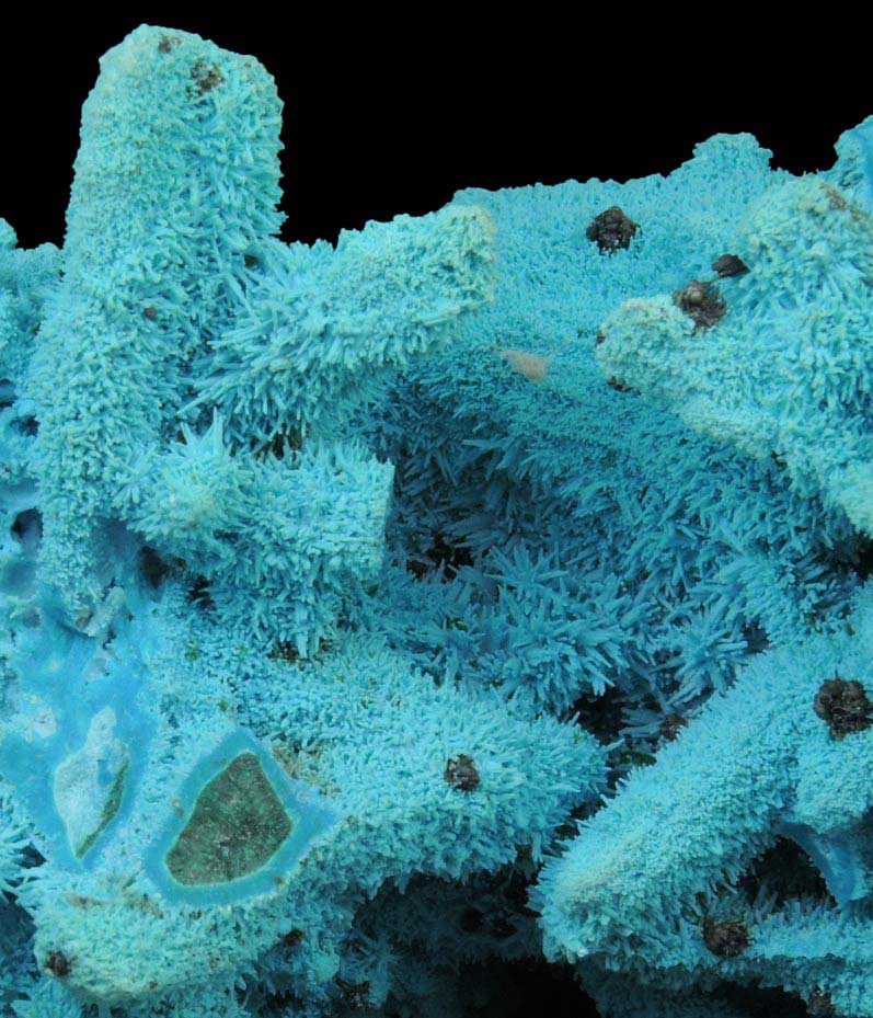 Chrysocolla over Malachite pseudomorphs after Azurite from Luputo Mine, Lubumbashi, Katanga Copperbelt, Haut-Katanga Province, Democratic Republic of the Congo