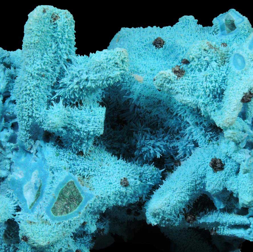 Chrysocolla over Malachite pseudomorphs after Azurite from Luputo Mine, Lubumbashi, Katanga Copperbelt, Haut-Katanga Province, Democratic Republic of the Congo