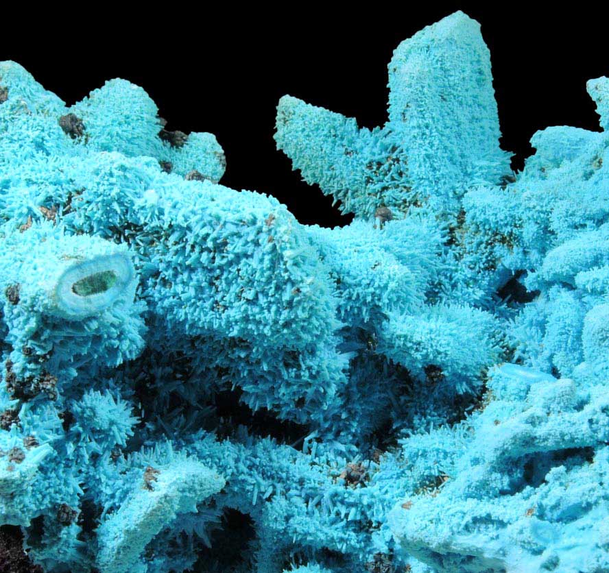 Chrysocolla over Malachite pseudomorphs after Azurite from Luputo Mine, Lubumbashi, Katanga Copperbelt, Haut-Katanga Province, Democratic Republic of the Congo