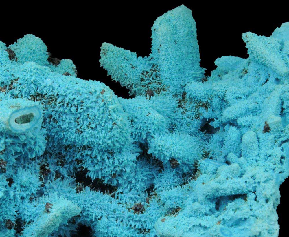Chrysocolla over Malachite pseudomorphs after Azurite from Luputo Mine, Lubumbashi, Katanga Copperbelt, Haut-Katanga Province, Democratic Republic of the Congo