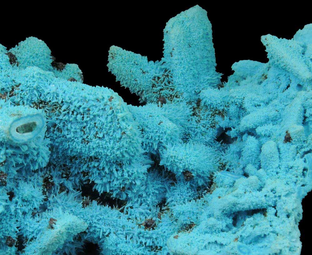 Chrysocolla over Malachite pseudomorphs after Azurite from Luputo Mine, Lubumbashi, Katanga Copperbelt, Haut-Katanga Province, Democratic Republic of the Congo