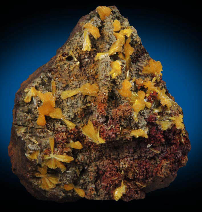 Legrandite on Mottramite-Limonite from Mapimi, Durango, Mexico