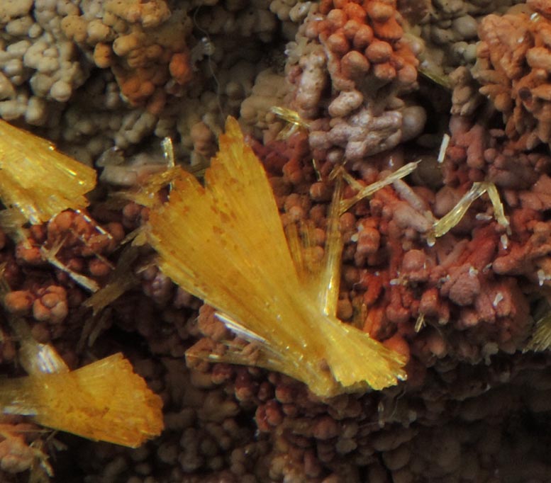 Legrandite on Mottramite-Limonite from Mapimi, Durango, Mexico