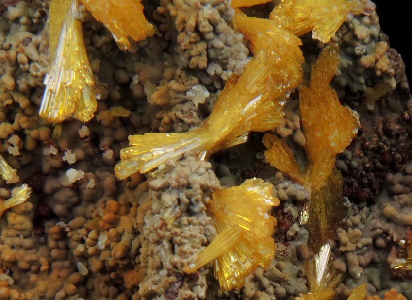 Legrandite on Mottramite-Limonite from Mapimi, Durango, Mexico