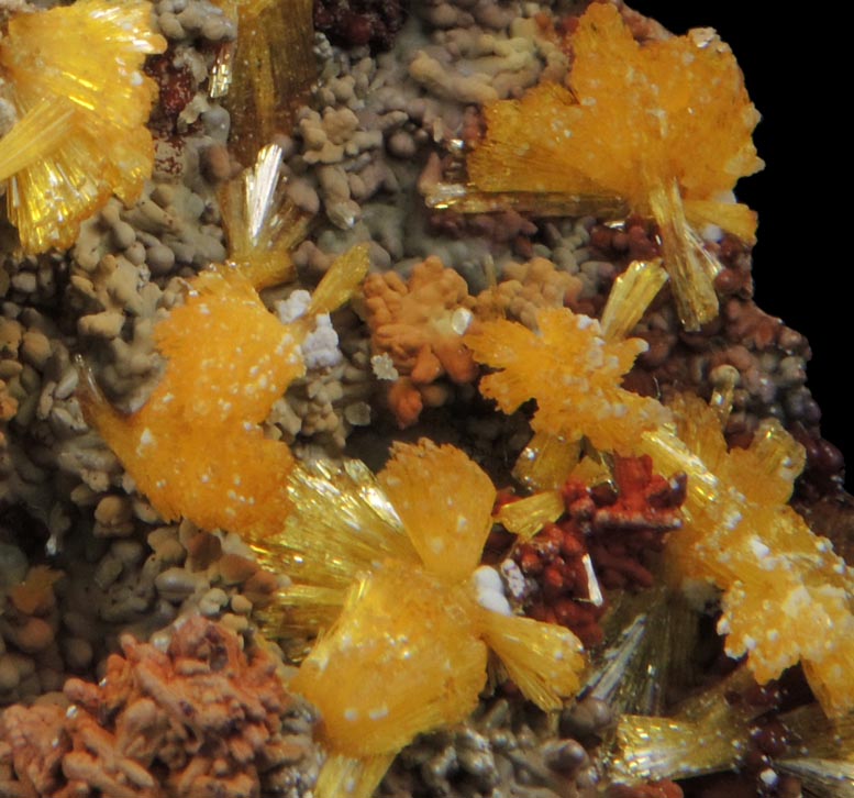 Legrandite on Mottramite-Limonite from Mapimi, Durango, Mexico