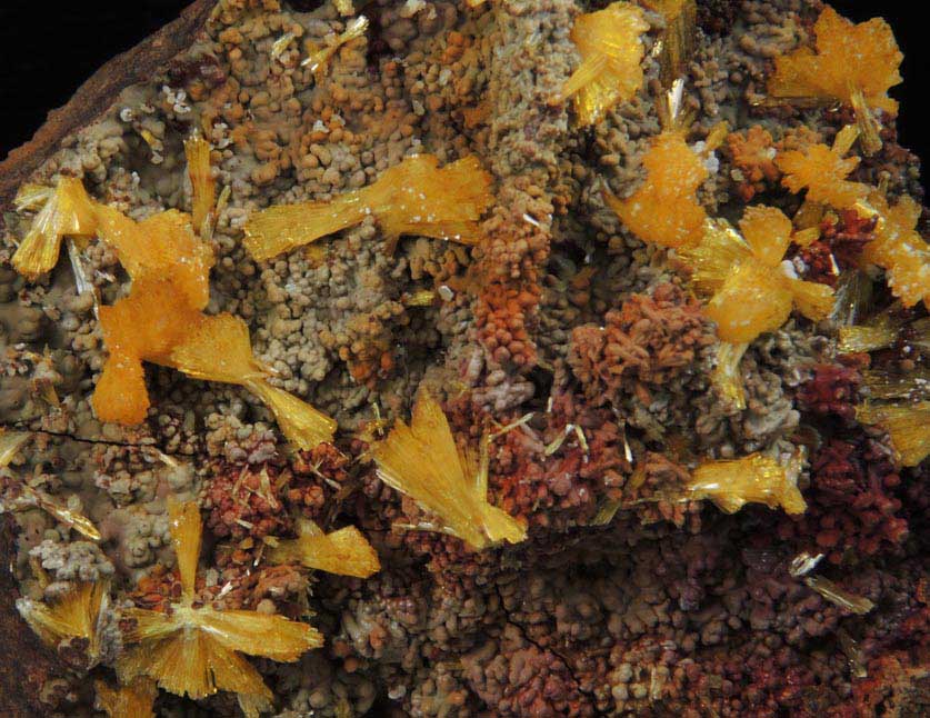 Legrandite on Mottramite-Limonite from Mapimi, Durango, Mexico