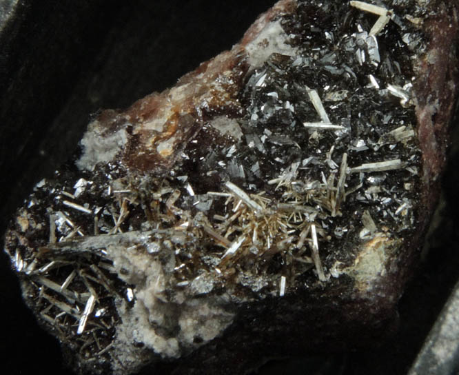 Ecdemite and Descloizite (micromount) from Las Chispas, Arizpe, Sonora, Mexico