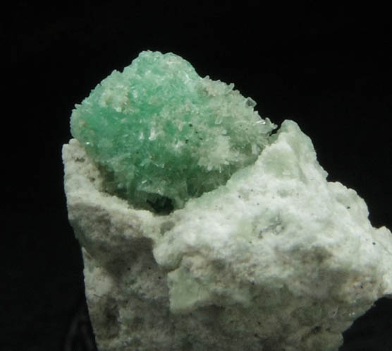 Metavariscite (micromount) from Lucin District, Box Elder County, Utah (Type Locality for Metavariscite)