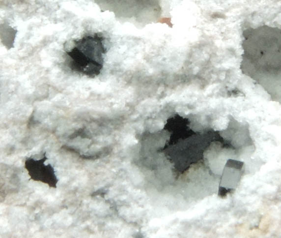 Osumilite and Phlogopite (micromount) from North Sister Mountain, Lane County, Oregon