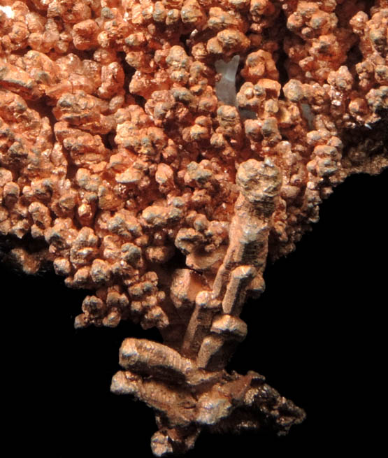 Copper (Spinel-Law twinned) from Christmas Mine, Banner District, Gila County, Arizona