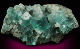 Fluorite (interpenetrant-twinned crystals) from Rogerley Mine, Frosterley, County Durham, England