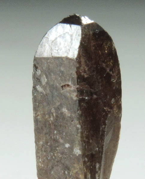 Xenotime-(Y) from Novo Horizonte, Bahia, Brazil