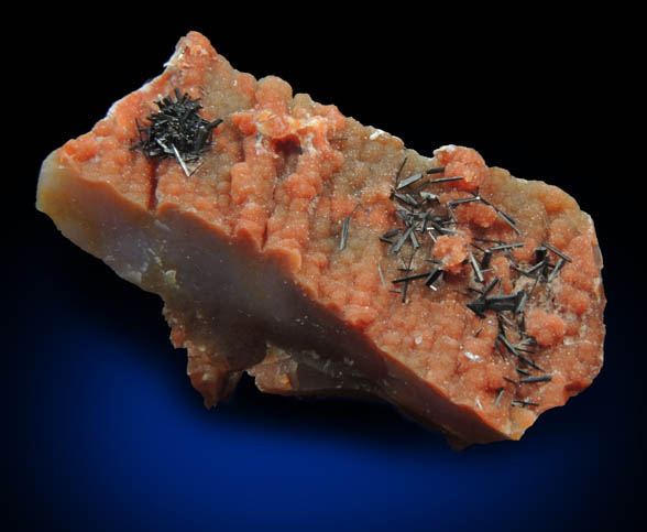 Groutite on Petrified Wood from Black Water Mine, Apache County, Arizona