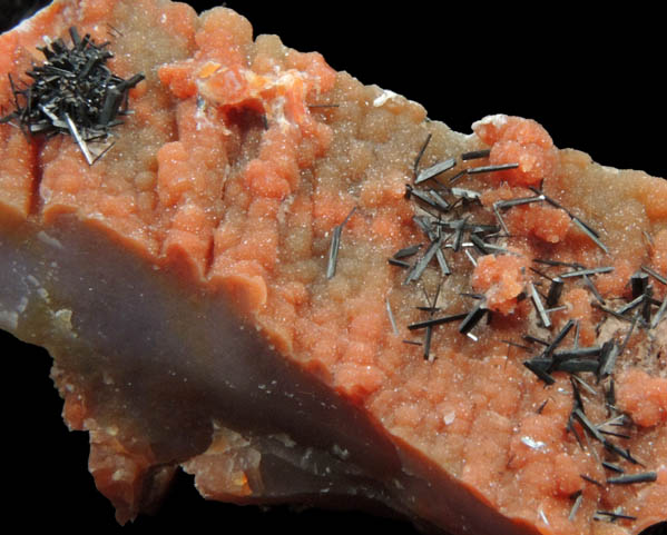 Groutite on Petrified Wood from Black Water Mine, Apache County, Arizona