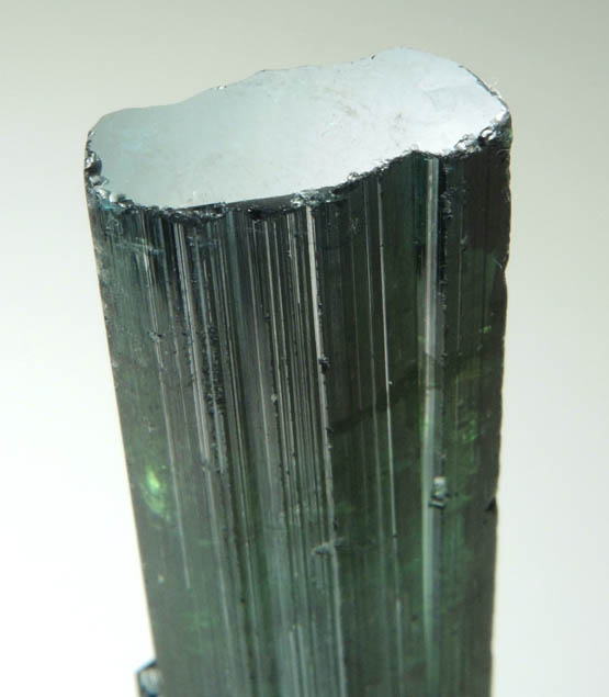 Elbaite Tourmaline from Santa Rosa, Itambacuri, Minas Gerais, Brazil