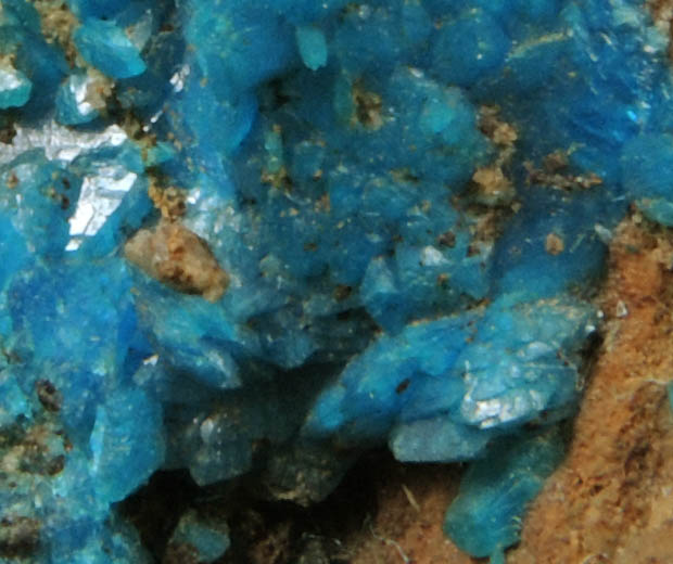 Liroconite from Wheal Gorland, Gwennap, Cornwall, England (Type Locality for Liroconite)