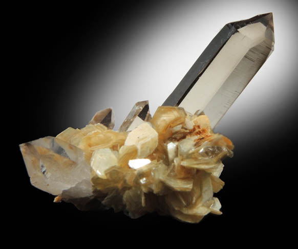 Quartz var. Smoky Quartz on Muscovite from Pedra Alta, Goiabeira, Minas Gerais, Brazil