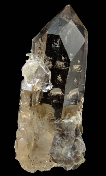 Quartz var. Smoky Quartz (Dauphin-law twins) with large S-face from So Geraldo do Baixio, Minas Gerais, Brazil