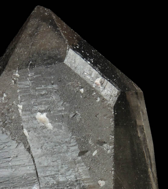 Quartz var. Smoky Quartz (Dauphin Law Twins) from Pedra Alta, Goiabeira, Minas Gerais, Brazil