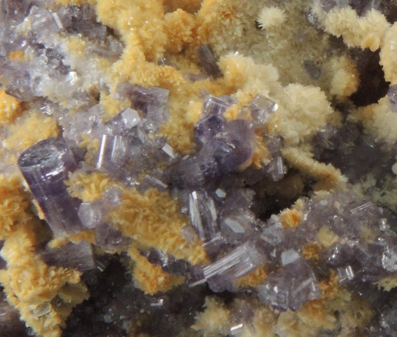 Fluorapatite with Bertrandite from Lavra da Golconda, near Governador Valadares, Minas Gerais, Brazil