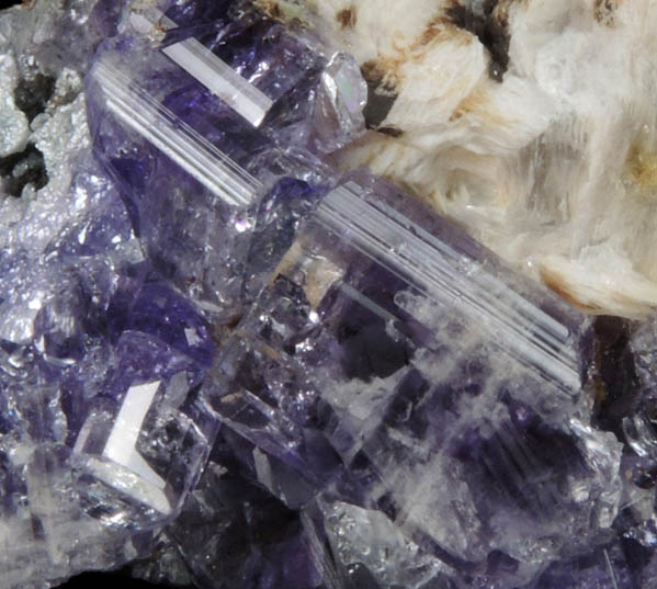 Fluorapatite with Bertrandite from Lavra da Golconda, near Governador Valadares, Minas Gerais, Brazil