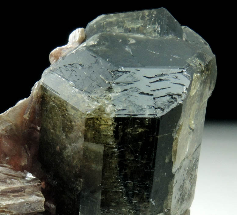 Fluorapatite with Muscovite from Lavra do Joo Pinto, Fazenda Santa Elisa, Conselheiro Pena, Minas Gerais, Brazil