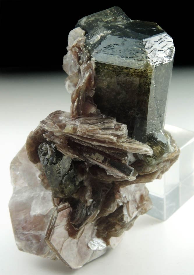 Fluorapatite with Muscovite from Lavra do Joo Pinto, Fazenda Santa Elisa, Conselheiro Pena, Minas Gerais, Brazil