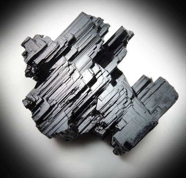 Schorl Tourmaline from Jequitinhonha River Valley, Minas Gerais, Brazil