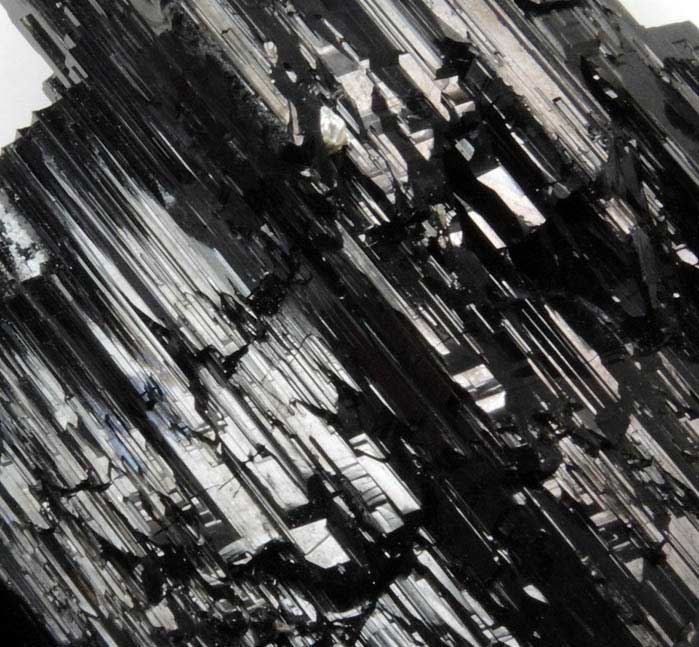 Schorl Tourmaline from Jequitinhonha River Valley, Minas Gerais, Brazil