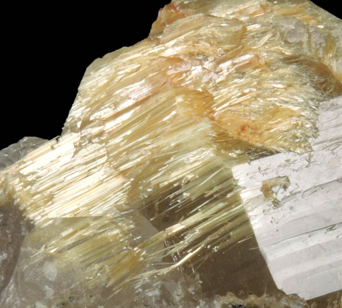 Quartz with Rutile inclusions (Rutilated Quartz) from Novo Horizonte, Bahia, Brazil