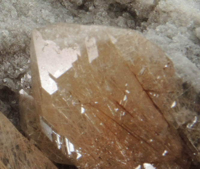 Quartz with Rutile inclusions (Rutilated Quartz) from Novo Horizonte, Bahia, Brazil