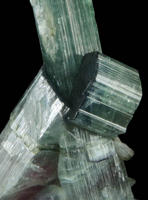 Elbaite Tourmaline from Pederneira Mine, Sao Jose da Safira, Minas Gerais, Brazil