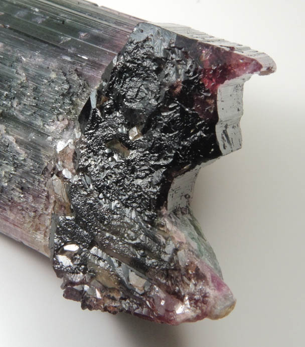 Elbaite Tourmaline from Barra do Salinas, Coronel Murta, Minas Gerais, Brazil