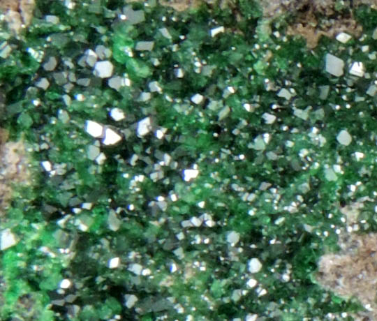 Uvarovite Garnet from Saranovskoye Mine, Sarany, Permskaya Oblast', Ural Mountains, Russia (Type Locality for Uvarovite)